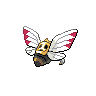 back_default