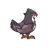 back_default