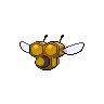 back_default