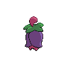 back_default