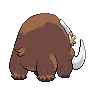 back_default