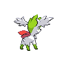 back_default