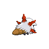 back_default