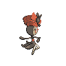 back_default