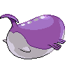 back_shiny
