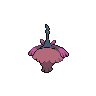 back_shiny