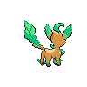 back_shiny