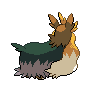 back_shiny