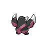 back_shiny