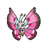 front_shiny